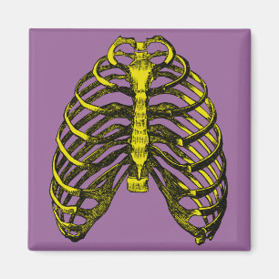 Human Anatomy Rib Cage Magnet