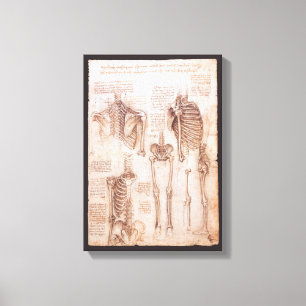 Human Anatomy Skeletons by Leonardo da Vinci Canvas Print
