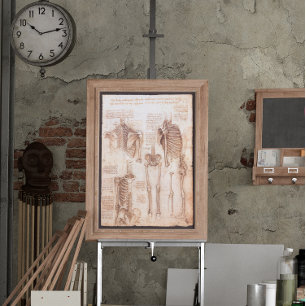 Human Anatomy Skeletons by Leonardo da Vinci Poster