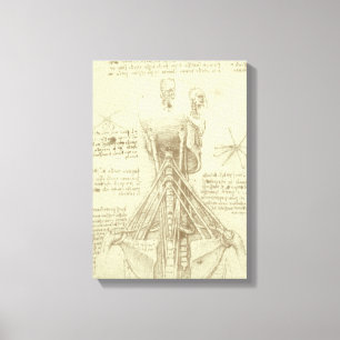 Human Anatomy Spinal Column by Leonardo da Vinci Canvas Print