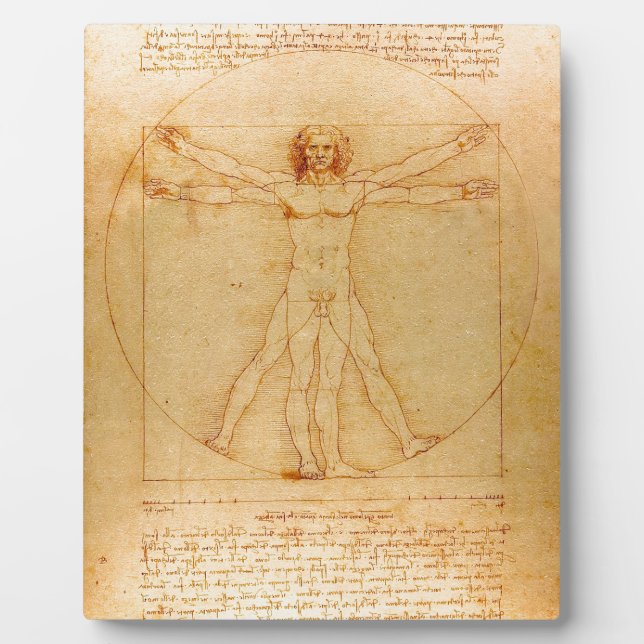 Human Anatomy, Vitruvian Man by Leonardo da Vinci Plaque (Front)