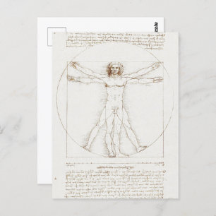 Human Anatomy: Vitruvian Man by Leonardo da Vinci Postcard