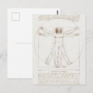 Human Anatomy: Vitruvian Man by Leonardo da Vinci Postcard