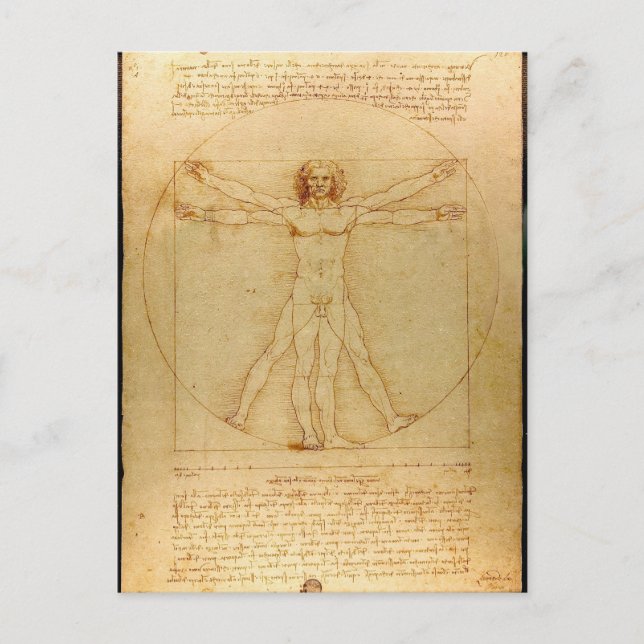 Human Anatomy, Vitruvian Man by Leonardo da Vinci Postcard (Front)