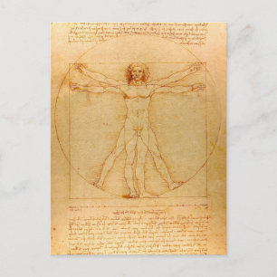 Human Anatomy, Vitruvian Man by Leonardo da Vinci Postcard