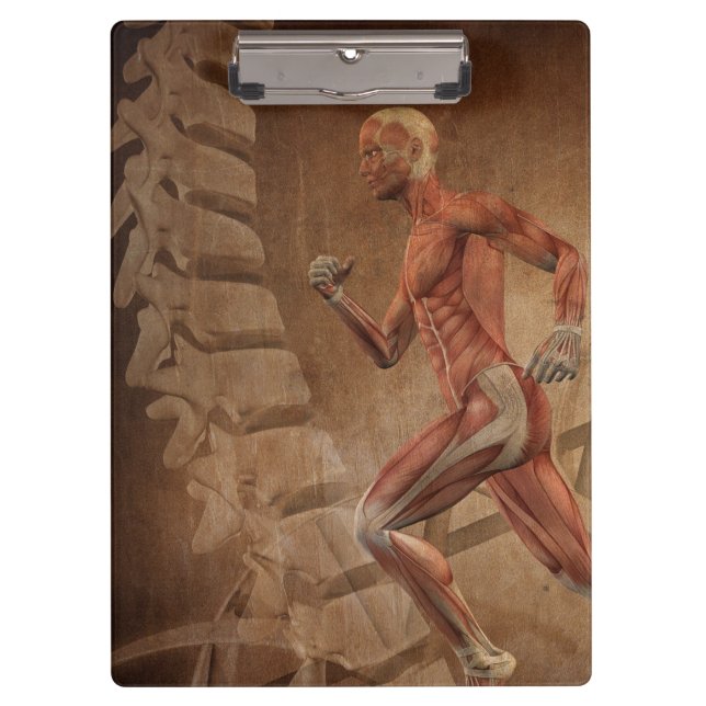 Human Anatomy with Spine Clipboard (Front)