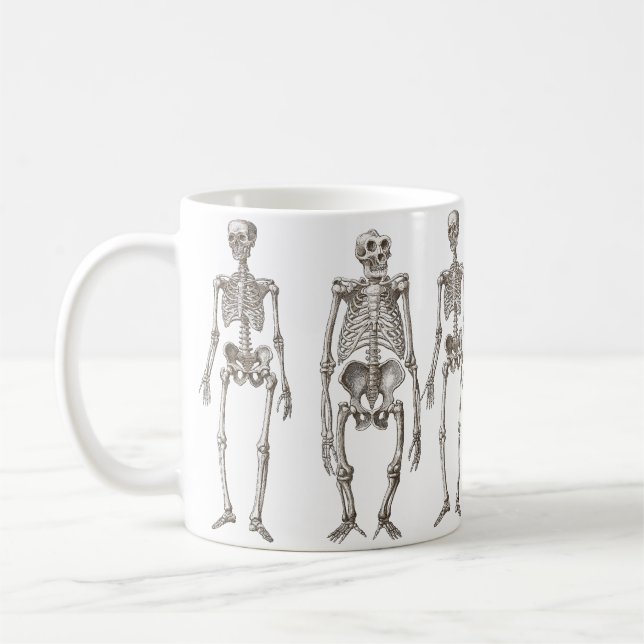 Human and Ape Skeletons Primate Missing Link Mug (Left)