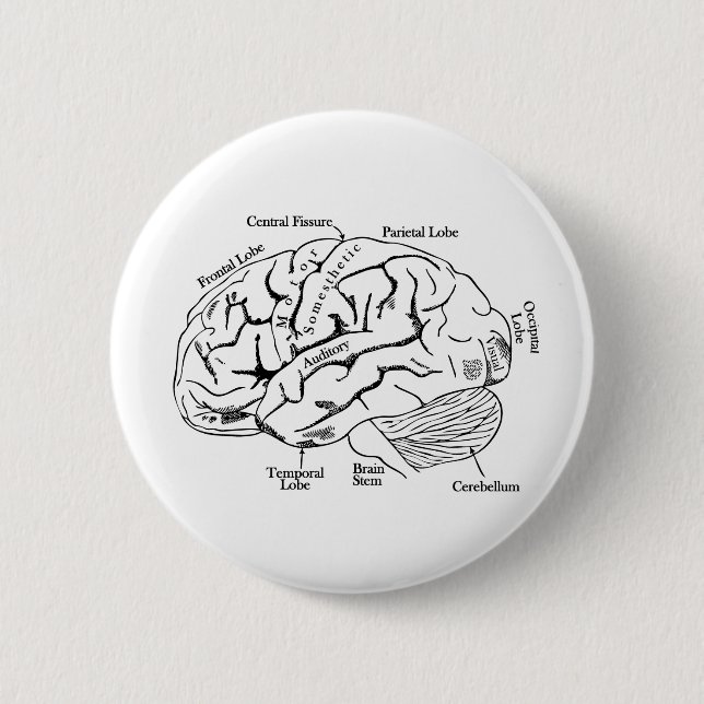 Human Brain 6 Cm Round Badge (Front)