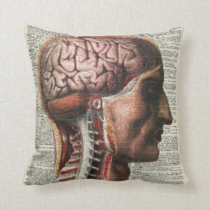 Human Brain Anatomy Cushion