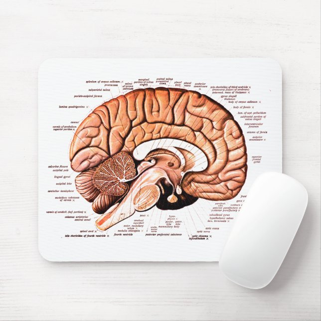 Human Brain Anatomy Medical Diagram Novelty Mouse Pad (With Mouse)
