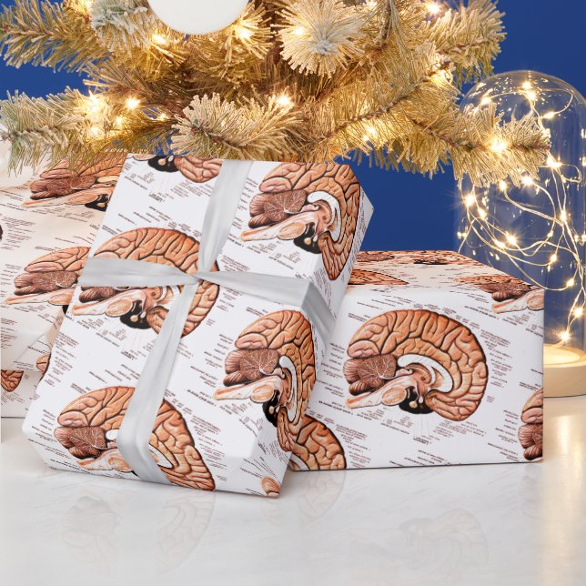 Human Brain Anatomy Medical Diagram Novelty Wrapping Paper (Holidays)