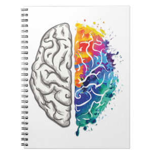 human brain illustration notebook