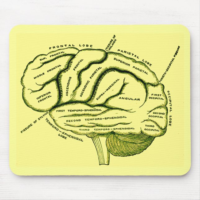 Human Brain Mouse Pad (Front)