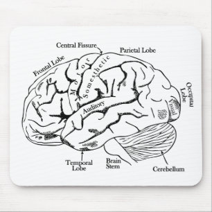 Human Brain Mouse Pad