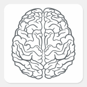 Human Brain Square Sticker