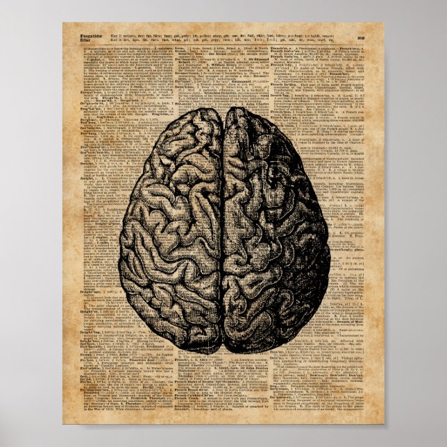 Human Brain Vintage Illustration Dictionary Art Poster (Front)