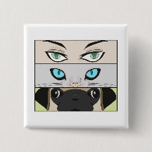 Human, Cat and Dog looking at you