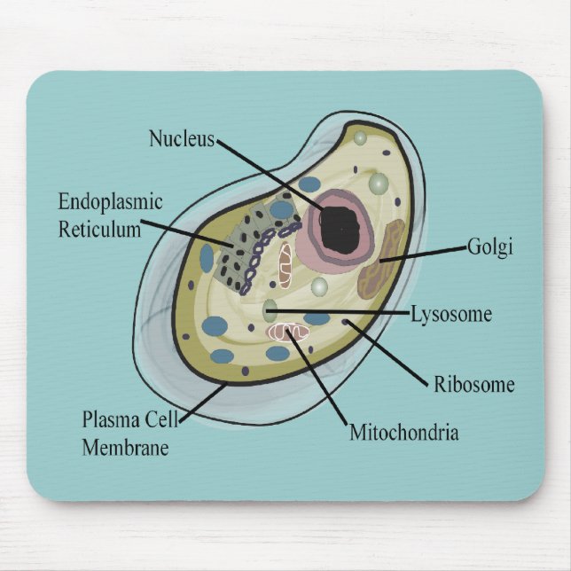 Human Cell Biology T-Shirts Mouse Pad (Front)