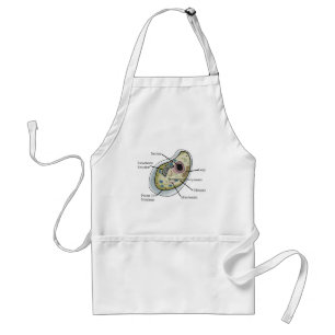 Human Cell Biology T-Shirts Standard Apron