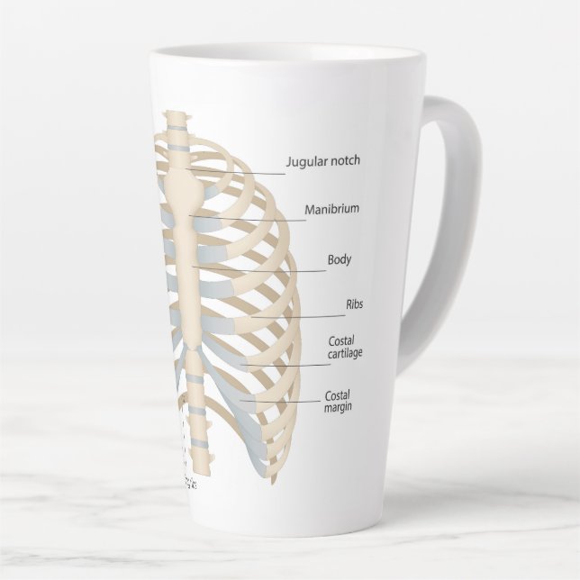 Human chest anatomy latte mug (Right Angle)