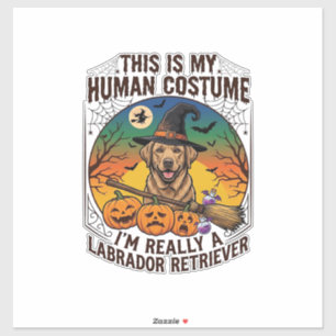 Human Costume Labrador Retriever Halloween Witch H