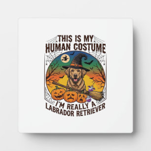 Human Costume Labrador Retriever Halloween Witch H Plaque