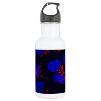 Human embryonic stem cells 532 ml water bottle