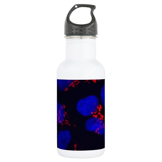 Human embryonic stem cells 532 ml water bottle (Front)