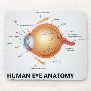 Human Eye Anatomy of Right Eye Mouse Pad