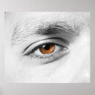 Human eye closeup poster