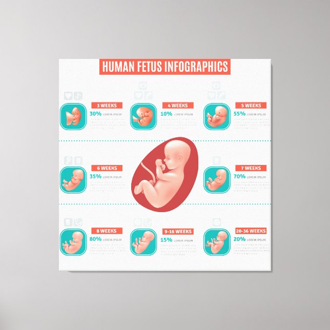 Human Foetus Infographics   Canvas Print (Front)