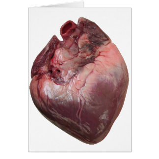 Human Heart