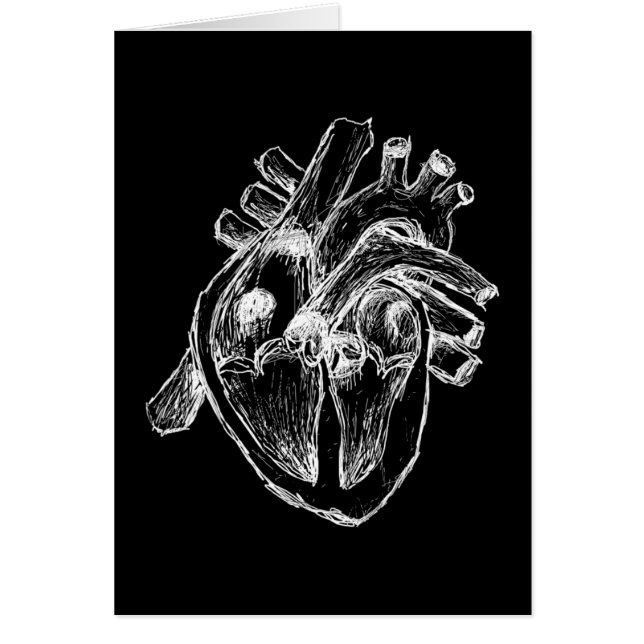 Human Heart (Front)