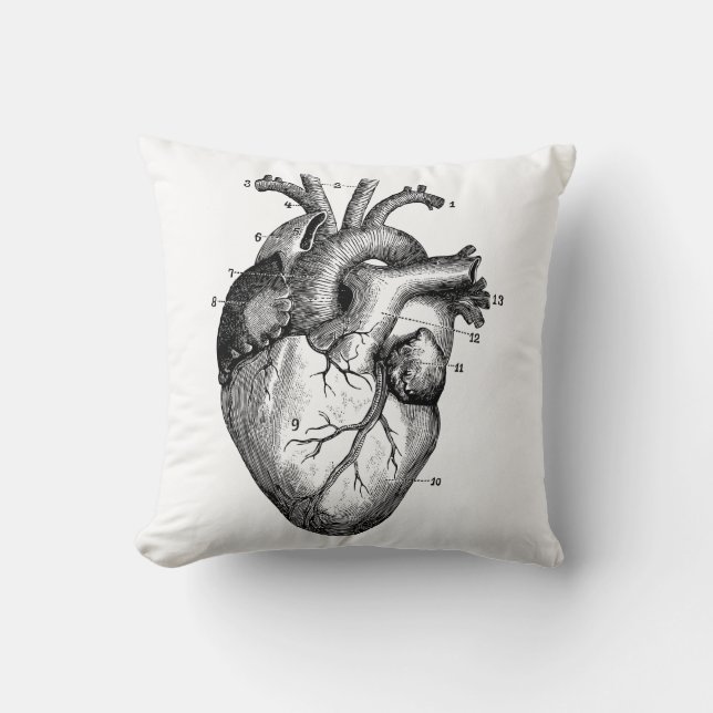 Human heart - anatomy cushion (Front)
