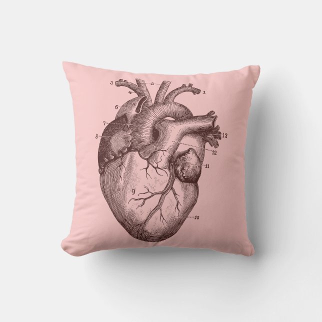 Human heart - anatomy cushion (Front)