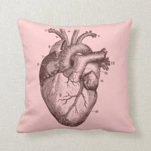 Human heart - anatomy cushion