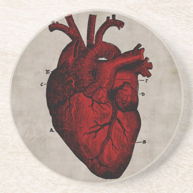Human Heart Coaster (Front)
