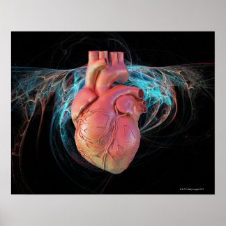 Human heart, computer artwork. poster