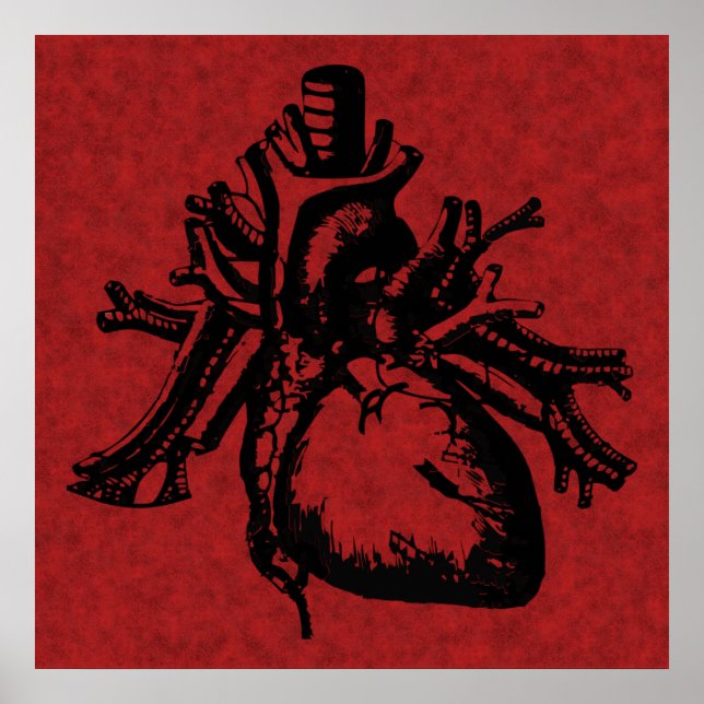 Human Heart Poster (Front)