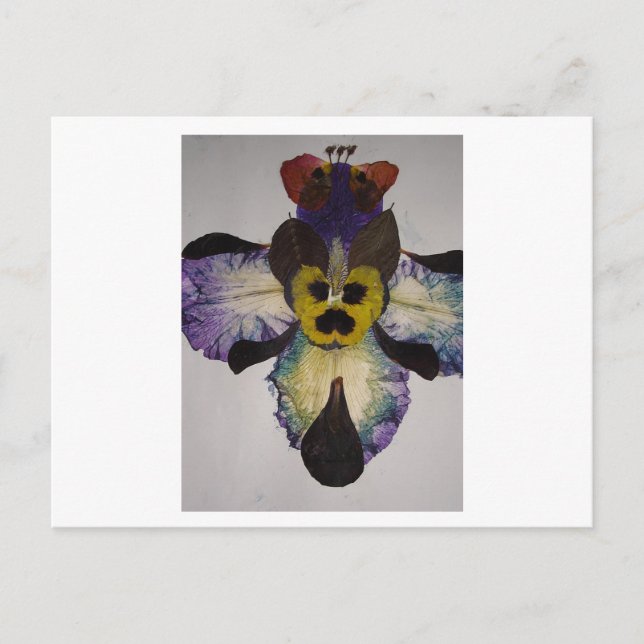 Human Insect Postcard (Front)