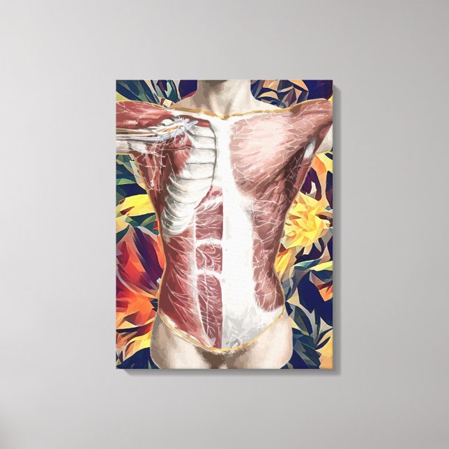 human Male anatomy abstract original art  Canvas P (Front)