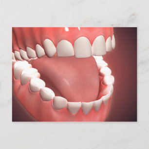 Human Mouth Open, Showing Teeth, Gums And Tongue Postcard
