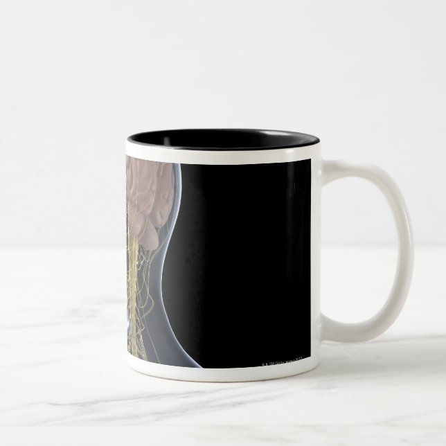 Human Nervous System Two-Tone Coffee Mug (Right)