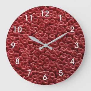 HUMAN RED BLOOD CELLS CLOCK