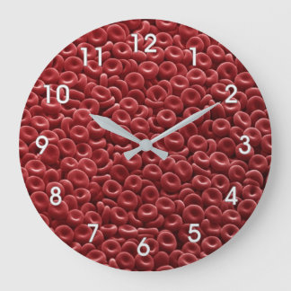 HUMAN RED BLOOD CELLS CLOCK