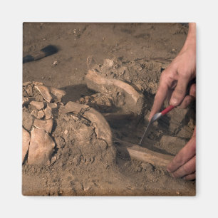 Human remains magnet