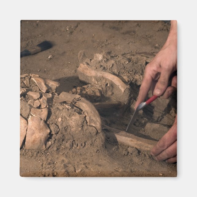 Human remains magnet (Front)