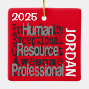 Human Resource Professional Extraordinaire Ceramic Ornament