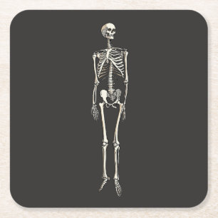 Human Skeleton Anatomy Pop Art Comic Drawing Square Paper Coaster