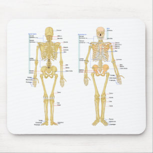 Human Skeleton labelled anatomy chart Mouse Pad